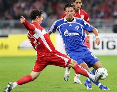 他都决定暂 他都决定暂